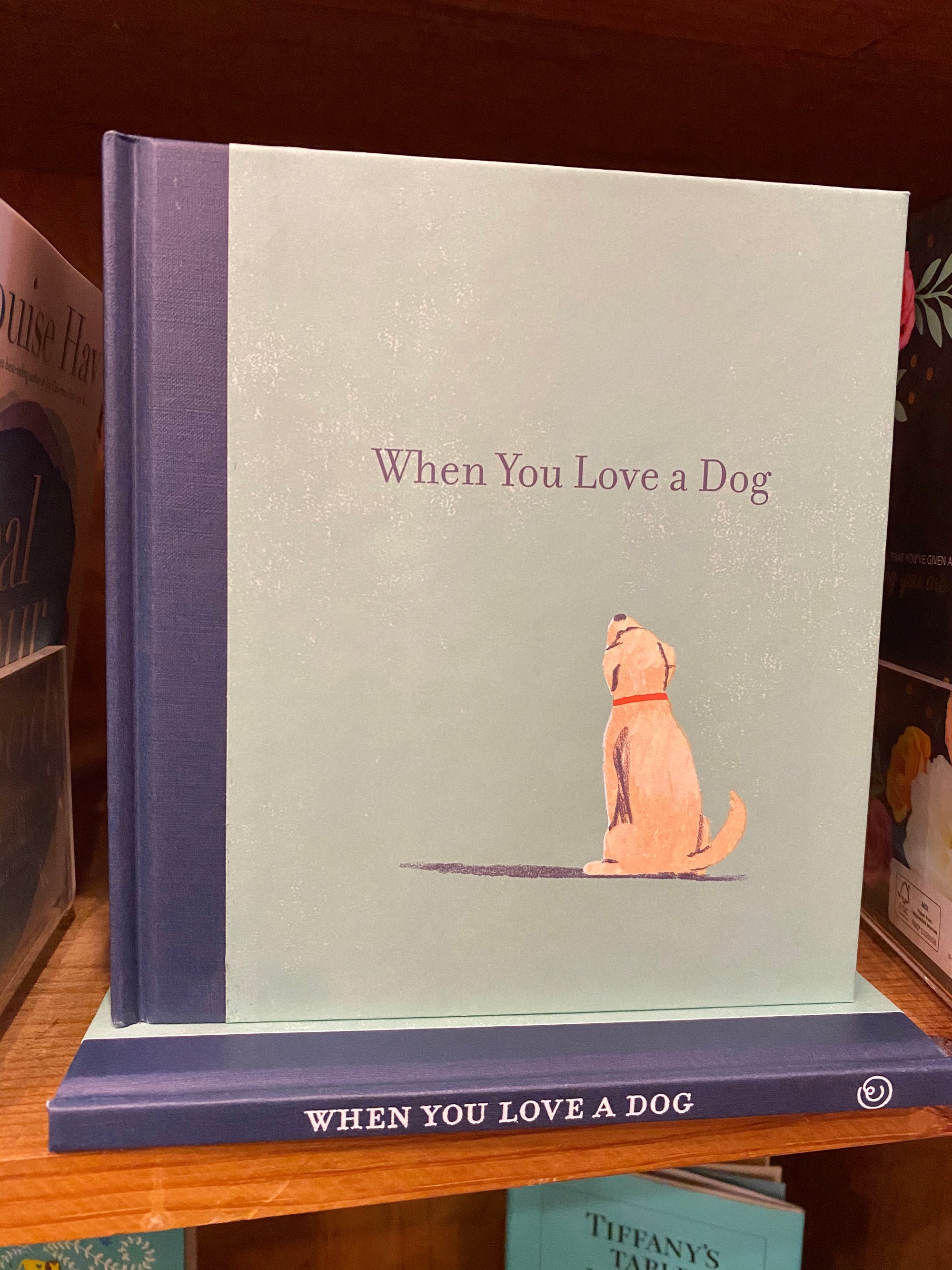 When You Love a Dog