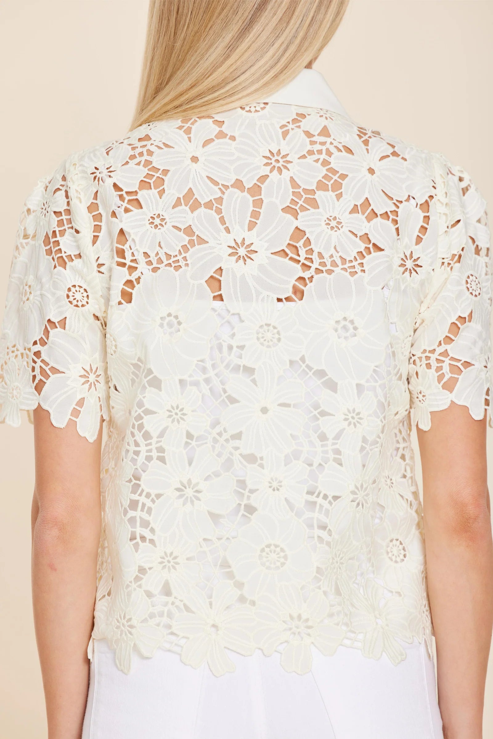 Lace Short Sleeve