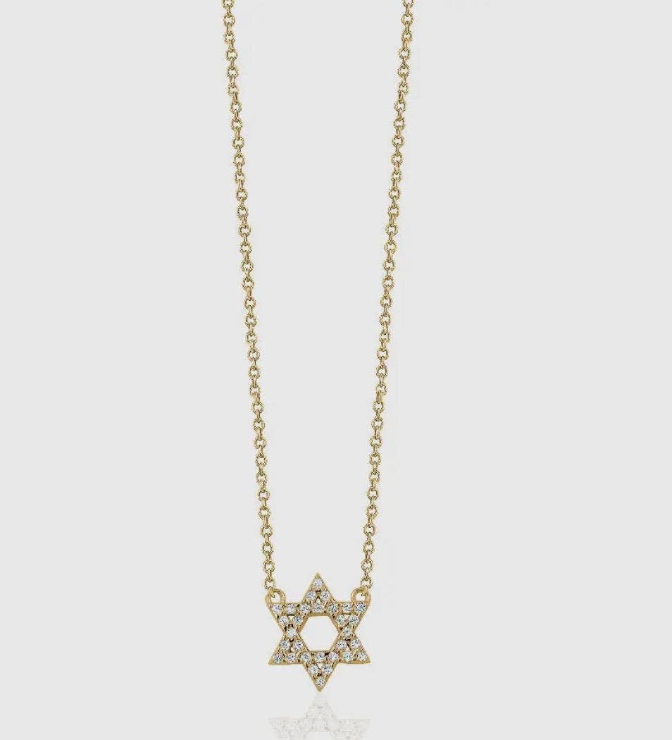 Dainty Star of David Necklace