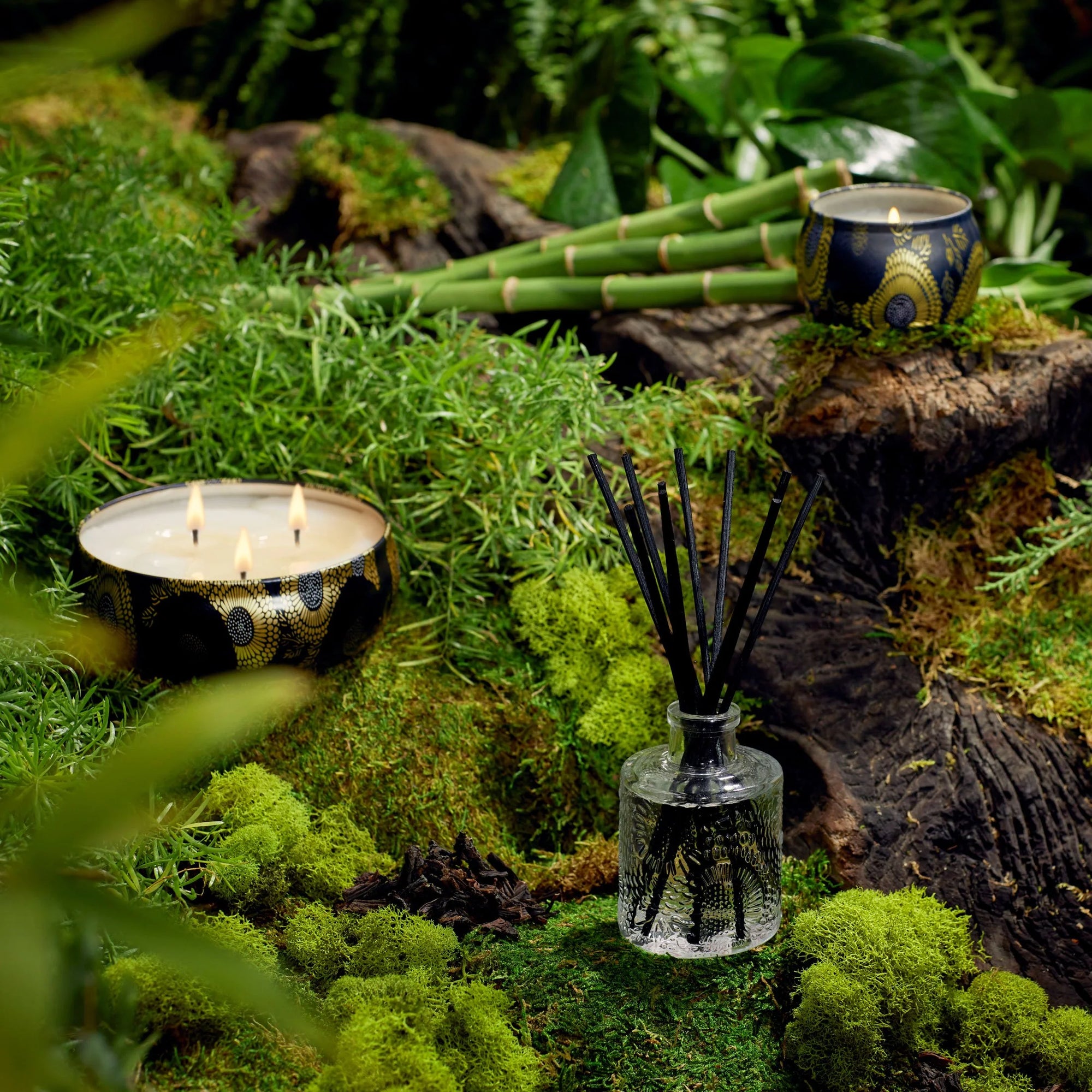 Moso Bamboo 3 Wick Candle