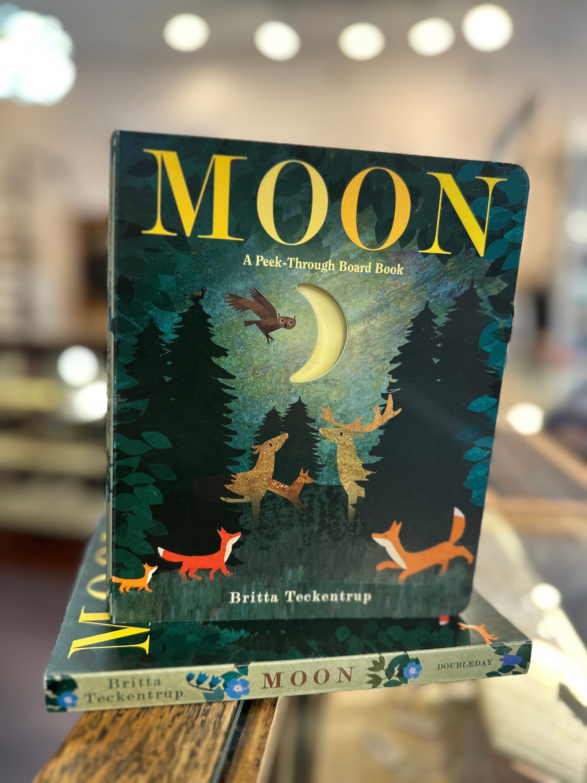 Moon Peek Through Board Book