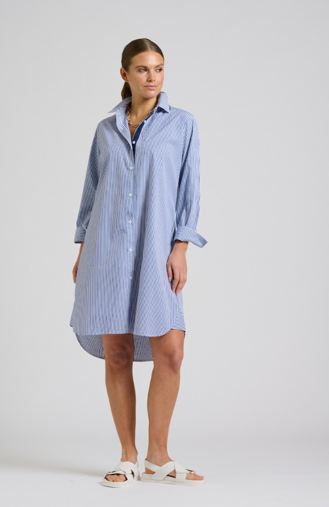 Classic Shirt Dress