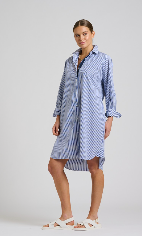 Classic Shirt Dress