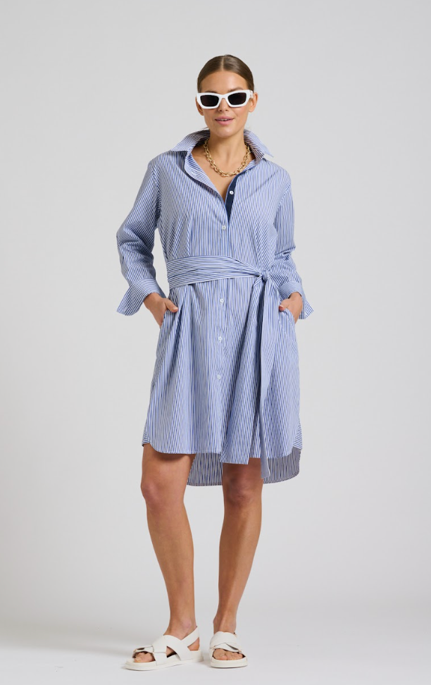 Classic Shirt Dress