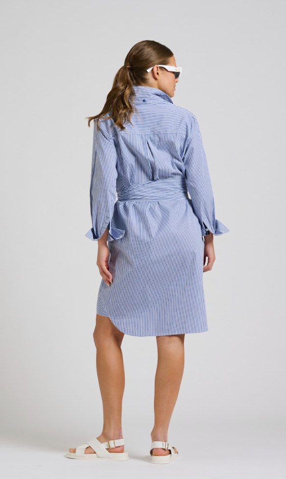 Classic Shirt Dress