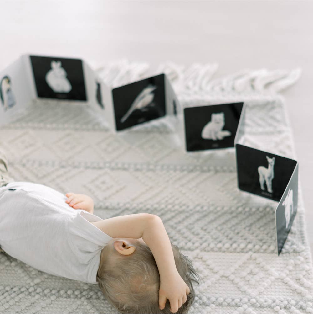 Baby's Black And White Book