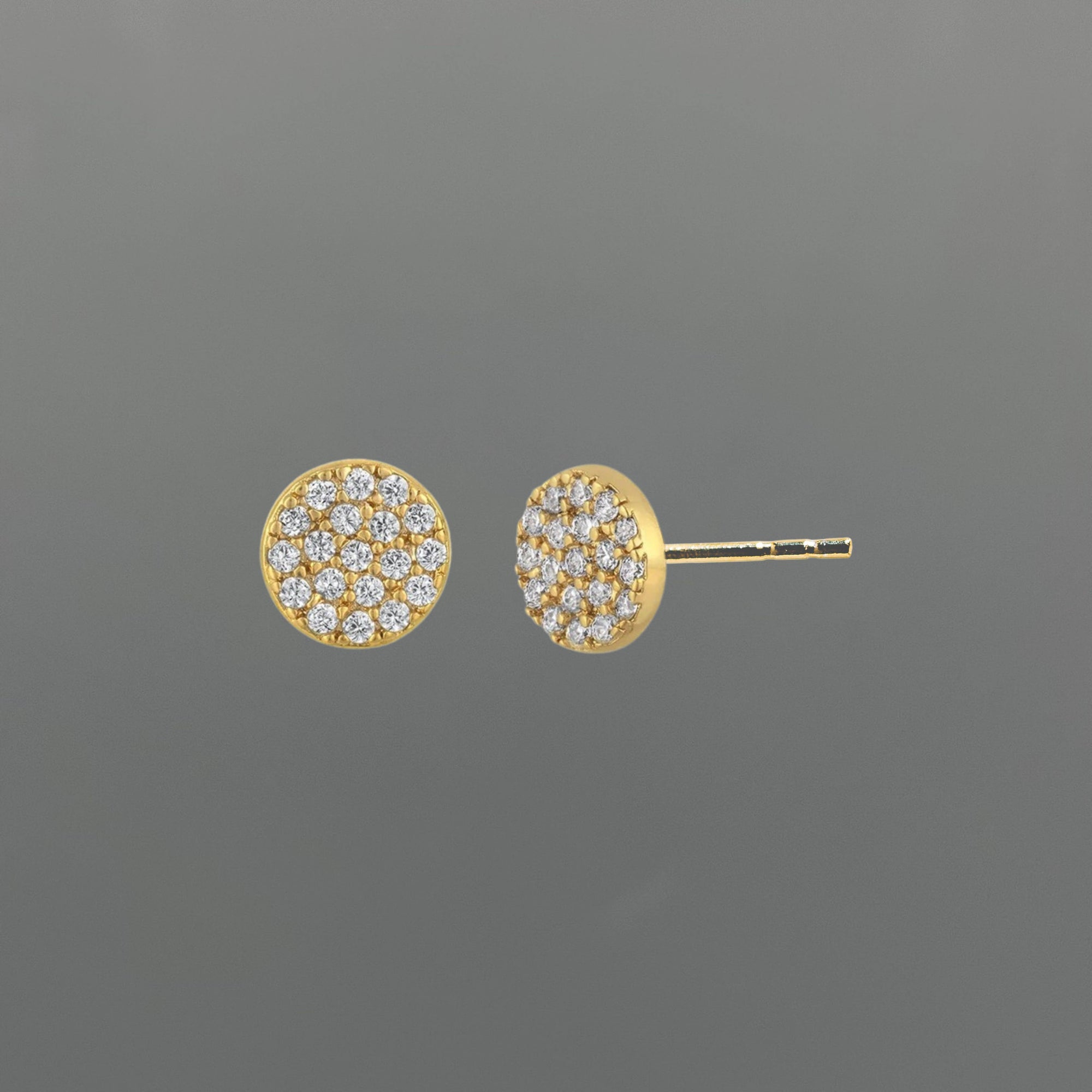 Dazzling Full Circle Studs
